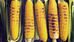 7 ways to eat corn